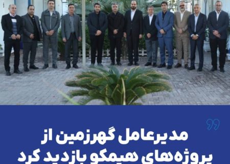 مدیرعامل گهرزمین از پروژه‌های هیمکو بازدید کرد