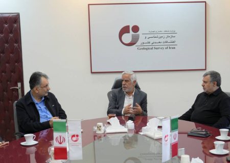 دیدار نمایندگان مجلس شورای اسلامی با معاون وزیر صمت و رئیس سازمان زمین‌شناسی و اکتشافات معدنی